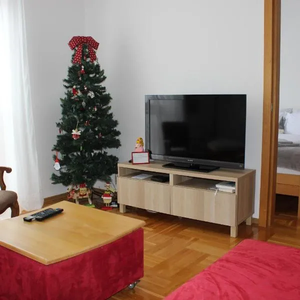 Apartman Božić，位于Šišava的酒店