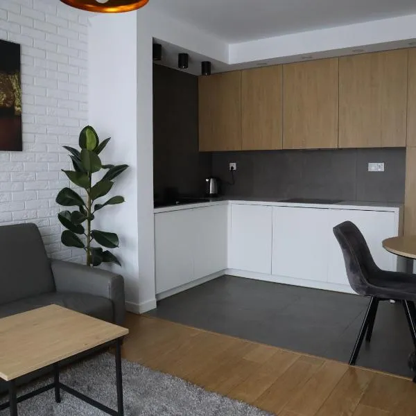 Apartament Nowy Sącz，位于新松奇的酒店