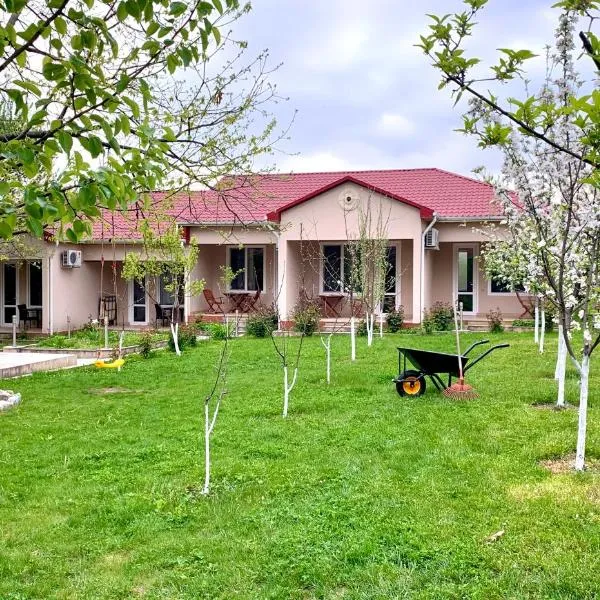 Cozy Family Cottages，位于Qalacıq的酒店