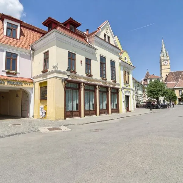 特劳伯酒店，位于梅迪亚什的酒店