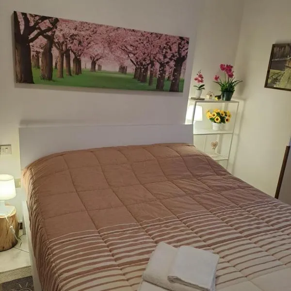 VALTELLINA SONDRIO HOLIDAYS，位于松德里奥的酒店