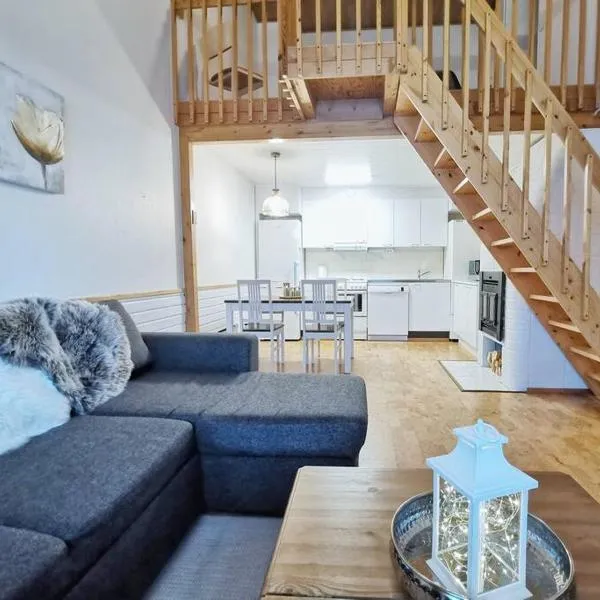 Borealis，位于萨利色尔卡的酒店