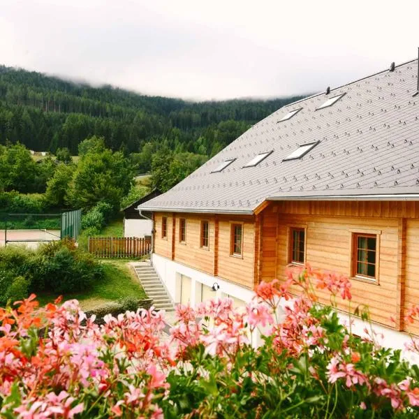Stranach Appartements，位于圣迈克尔隆高的酒店