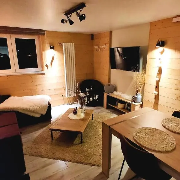 Joli Appartement Cosy 2 à 4 pers avec terrasse La Fourmi，位于奥尔贝的酒店