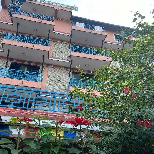 Little Pilgrim Family Lodge，位于博卡拉的酒店