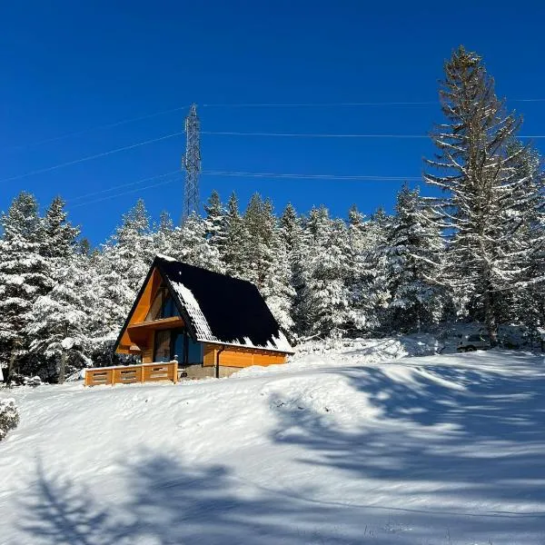 Vikendica Šumski mir Romanija-Sokolac-Sarajevo-Jahorina，位于Sokolac的酒店