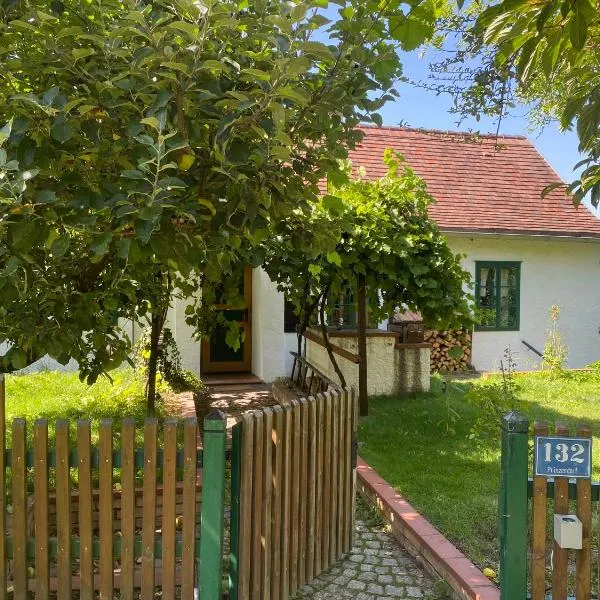 Landhaus Nitsch Appartement - Gästehaus Nitsch Appartement，位于Prinzendorf an der Zaya的酒店