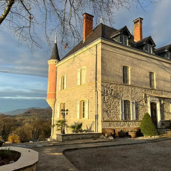 Château de Saint-Genix，位于Saint-Genix-sur-Guiers的酒店