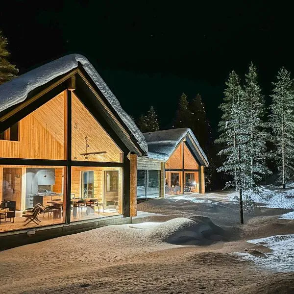 Kimmelvilla Pyhä - Ski-in, modern design and spectacular scenery，位于普哈圣山的酒店