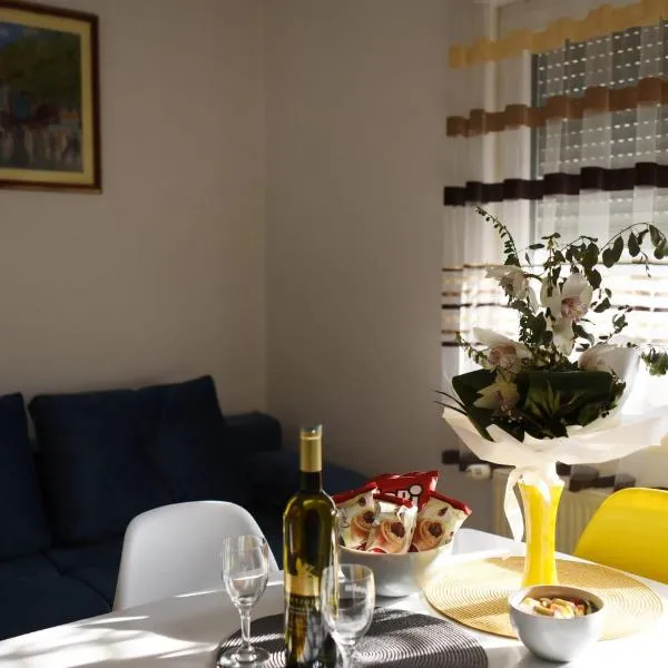 Apartman Mila，位于茹帕尼亚的酒店