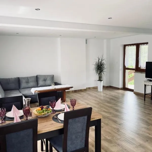 Apartament w Budzowie，位于Budzów的酒店