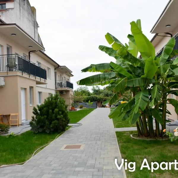 Vig Apartments，位于Sânmihaiu Român的酒店