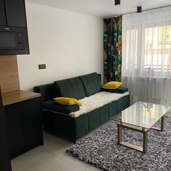 Apartament Żeromskiego2，位于比亚瓦波德拉斯卡的酒店