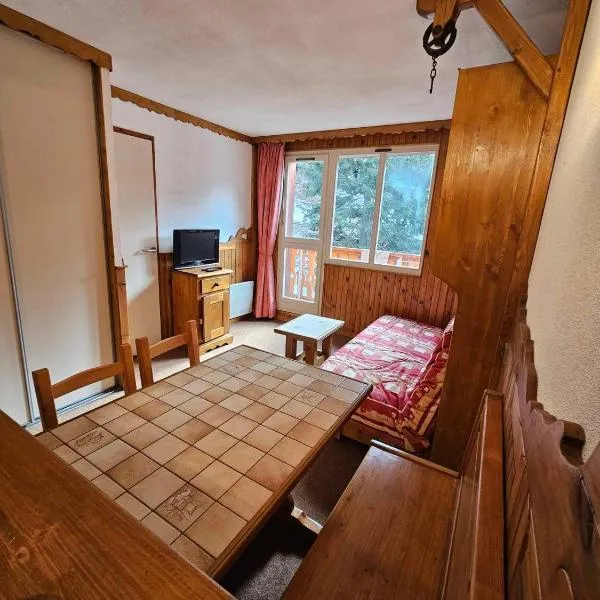 Appartement cosy à 100m des pistes，位于莫达讷的酒店