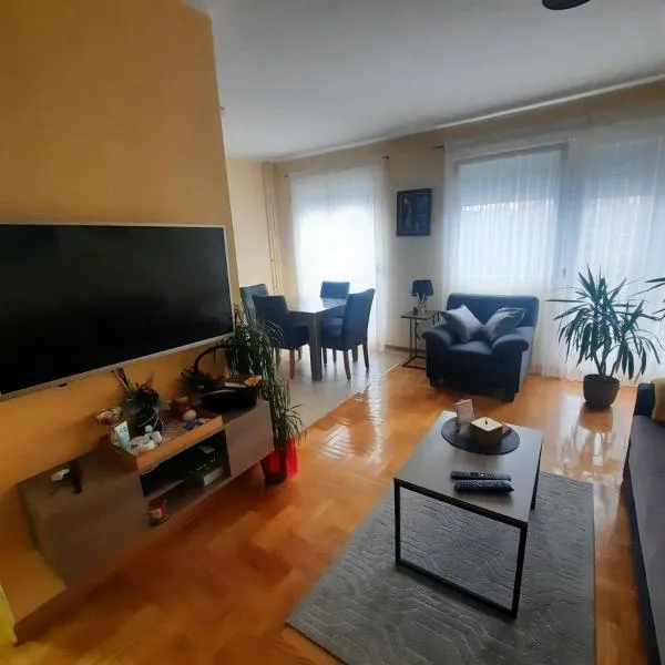 Apartman JOVANA，位于Dušanovac (historical)的酒店