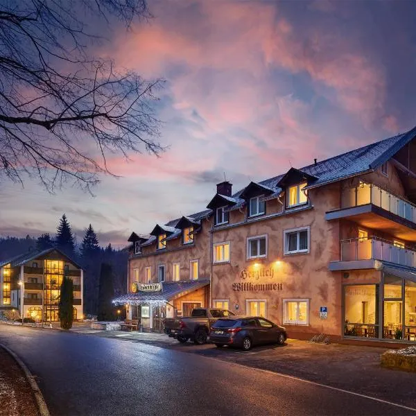 拉登明勒酒店，位于Bärenstein的酒店