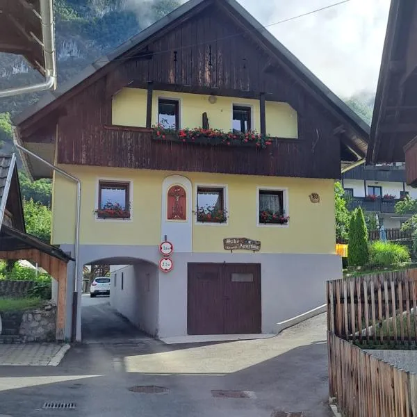 Apartmaji JOŠT，位于博希尼的酒店