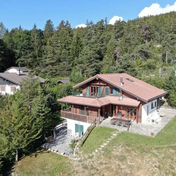 Vista Alpina Lodge，位于蒙塔纳的酒店