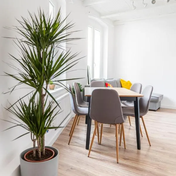 Torun Bridge Apartament，位于托伦的酒店