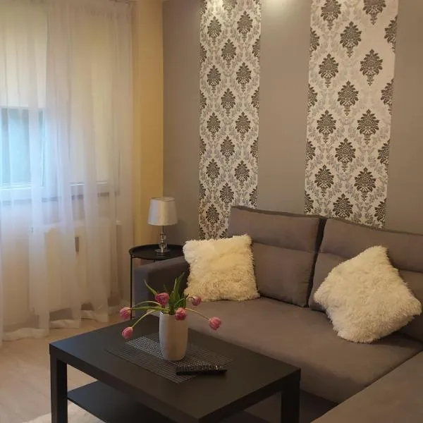 APARTAMENT SŁUPSK，位于斯武普斯克的酒店