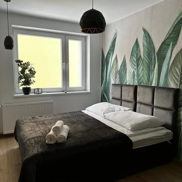 Niron Apartament Dąbrowskiego 3，位于皮拉的酒店