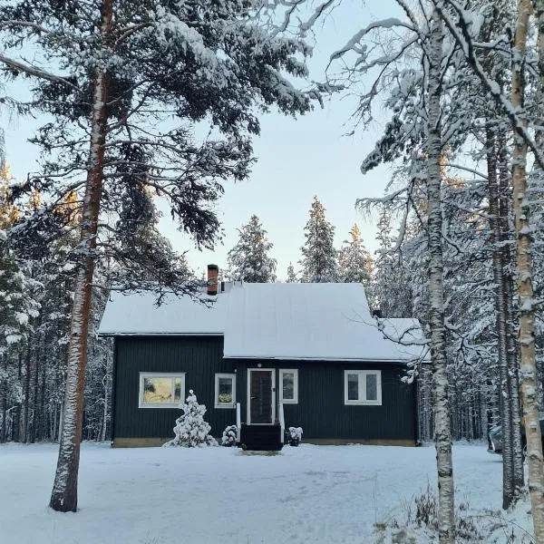 Villa Kaikuranta，位于讷利莫的酒店