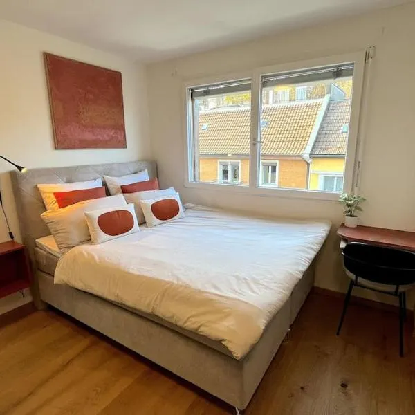 Central & modern penthouse-studio with balcony & air-condition，位于苏黎世的酒店