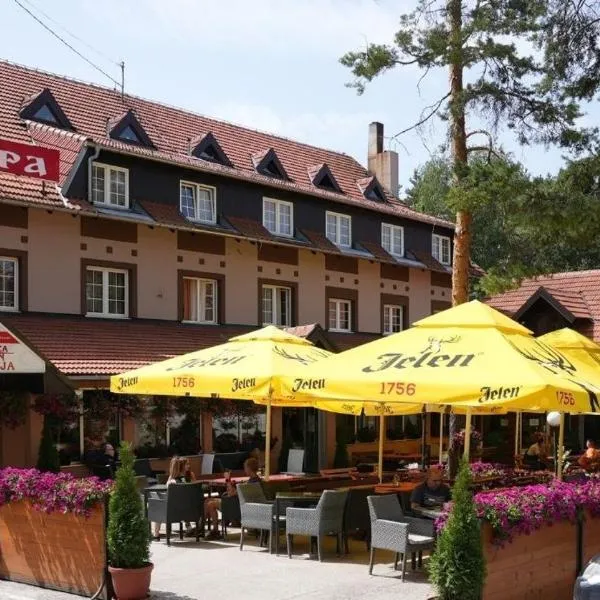 Hotel Pepa，位于迪瓦伊巴雷的酒店