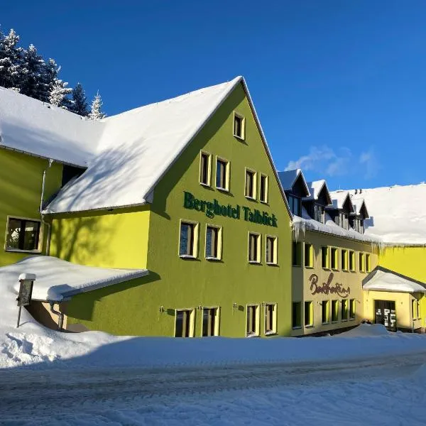 Berghotel Talblick，位于霍尔兆的酒店