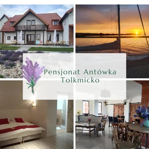 Antówka，位于托尔克米茨科的酒店