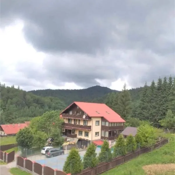 Casa Ticino Predeal，位于普雷代亚尔的酒店