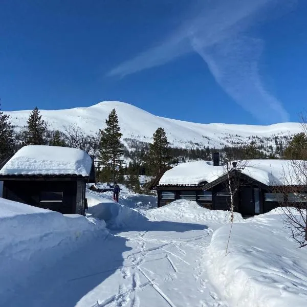 Hito - cabin between Flå and Eggedal，位于弗洛的酒店