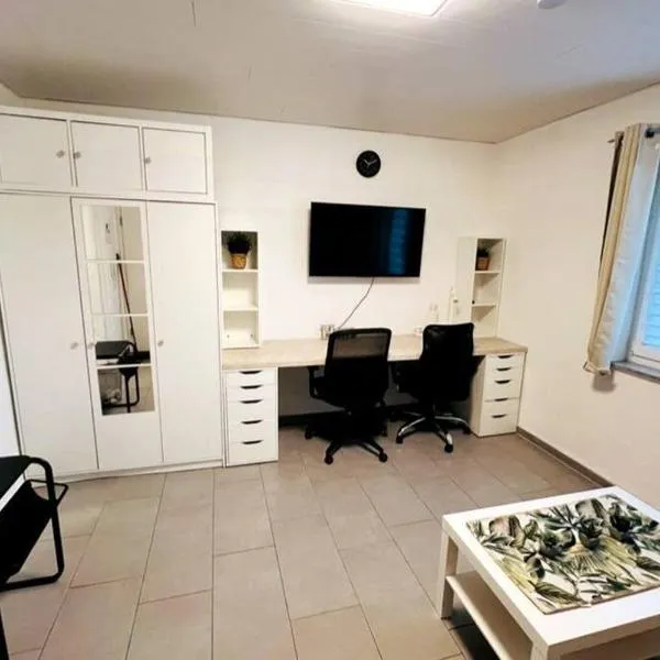 Helle 1,5 Zimmer Wohnung，位于Höchberg的酒店