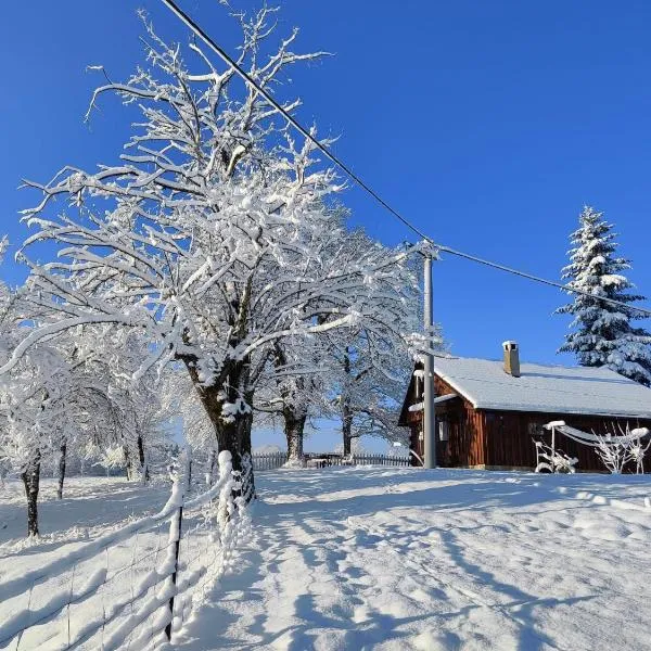 Peace Creek，位于斯诺基的酒店