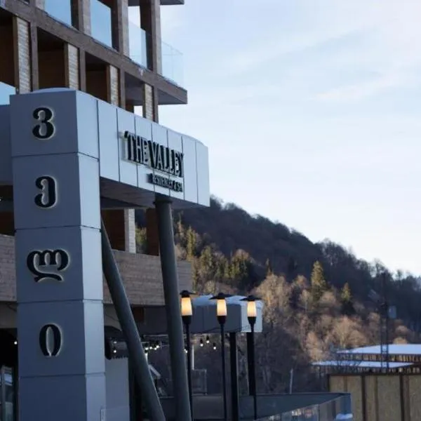 The Valley Bakuriani Didveli Apartment 304，位于巴库里阿尼的酒店