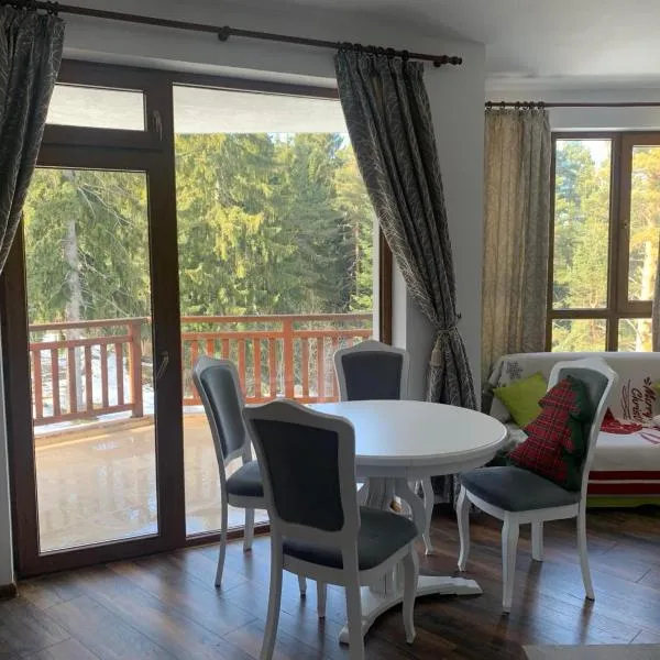 Premium Studio in Borovets，位于波罗维茨的酒店