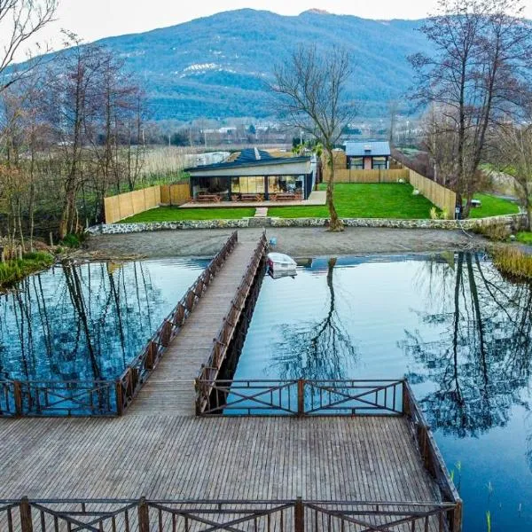 Vital Göl Sapanca Özel Havuzlu Bungalov & Villa，位于萨潘贾的酒店