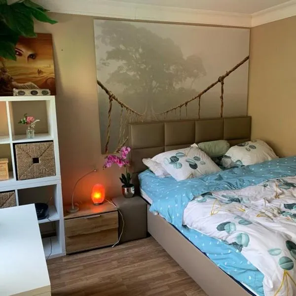 Jungle Magic Room near Atomium , Heyzel Stadium，位于斯托贝克-贝沃的酒店
