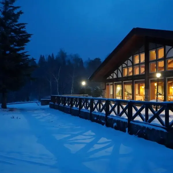 WHITE HOTEL GRAND HAKUBA，位于大町市的酒店