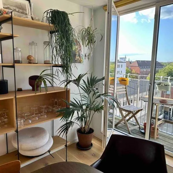 Penthouse: Copenhagen delight，位于哥本哈根的酒店