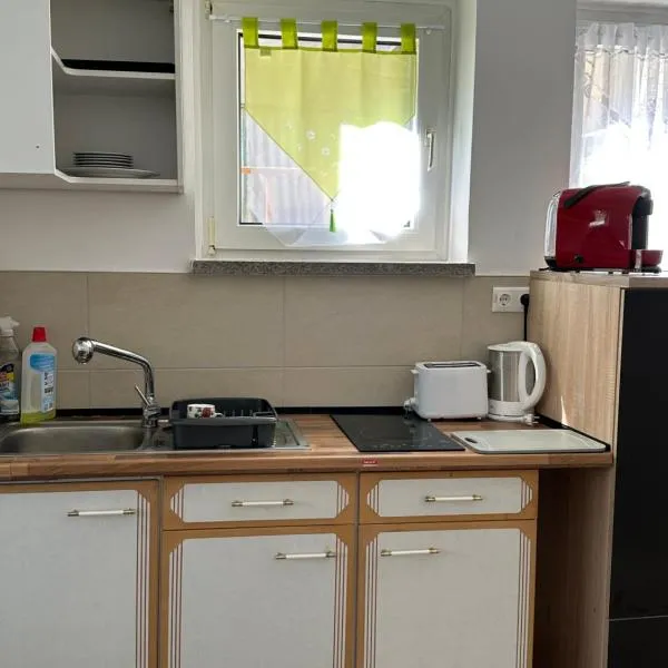Ein Zimmer Wohnung am Markt，位于Oelsnitz的酒店