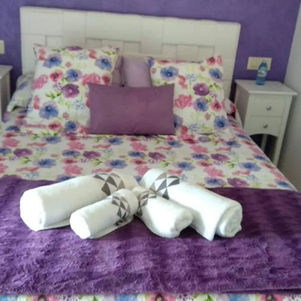 Casa Rústica Con Encanto.，位于Brandomil的酒店