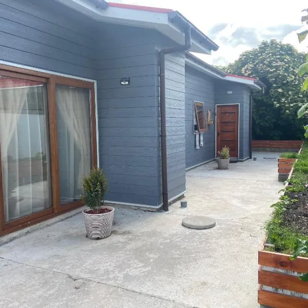 Cabañas Bosque Austral，位于蓬塔阿雷纳斯的酒店