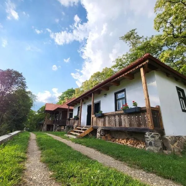 Arboretum Guesthouse,位于Şoimeni的酒店