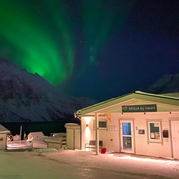 Senja Fjordcamp，位于Rødsand的酒店