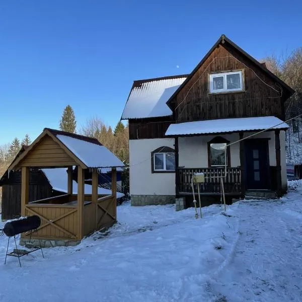 Дикий Ліс，位于米库利钦的酒店