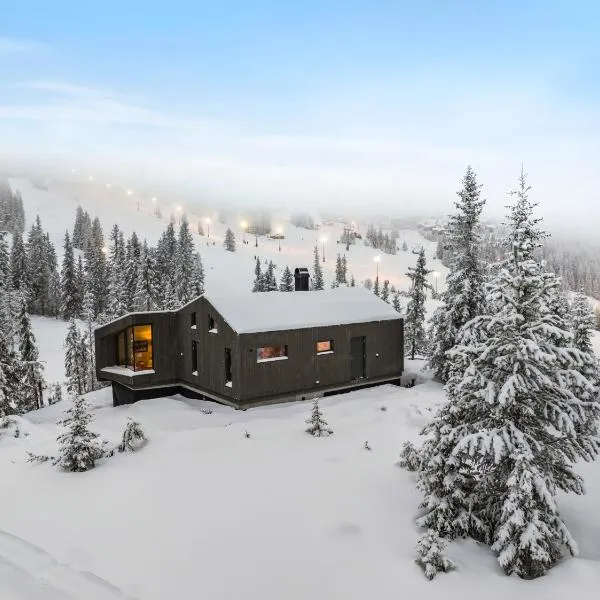 Ski-in-out hytte på Kvitfjell，位于Venabygd的酒店