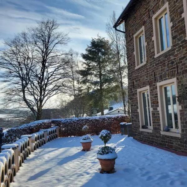 Die Alte Schule app，位于圣维特的酒店