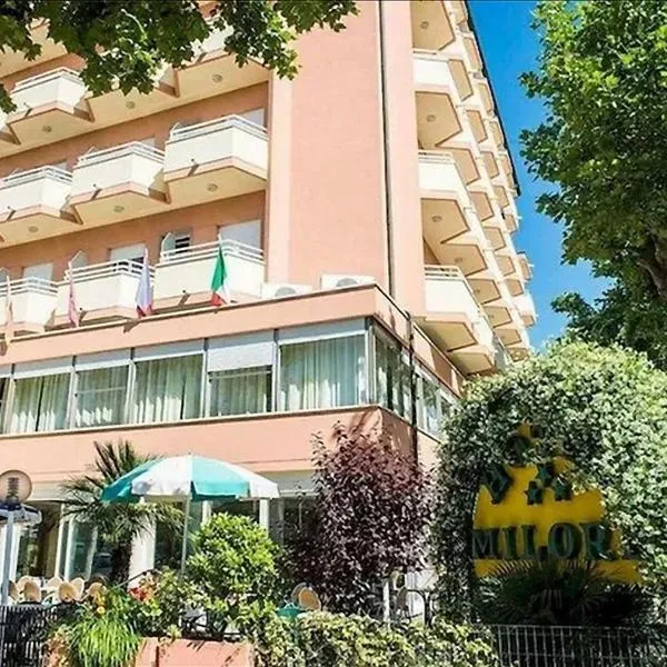 Hotel Milord，位于切塞纳蒂科的酒店