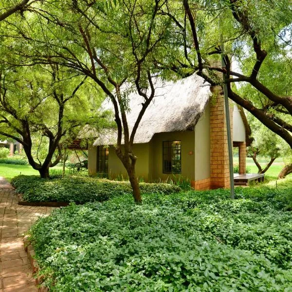 African Hills Safari Lodge & Spa，位于Rietfontein的酒店